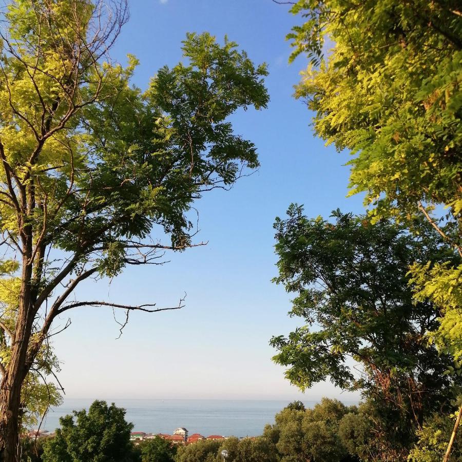 Il Magnolia Bed and Breakfast Francavilla Al Mare Exteriör bild
